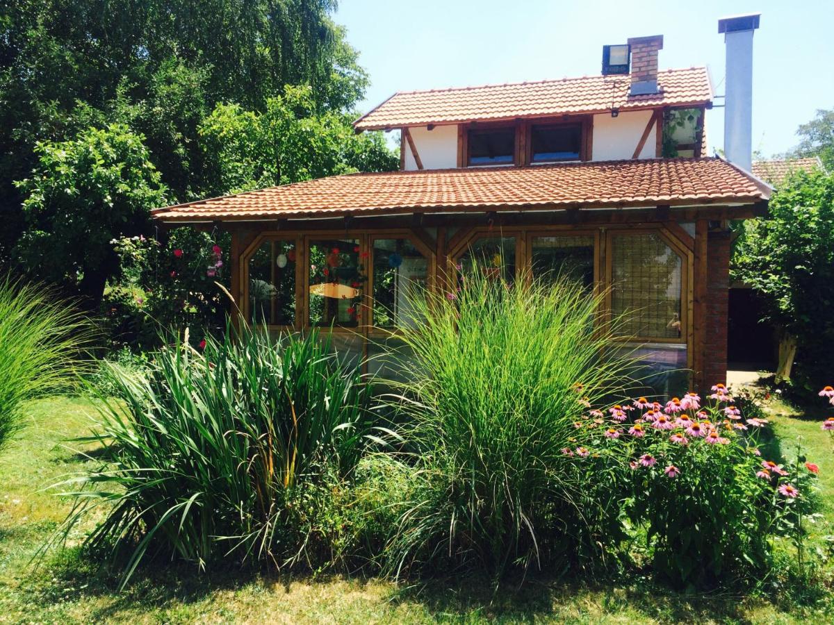 Morava Garden - Village Tourism - Housity