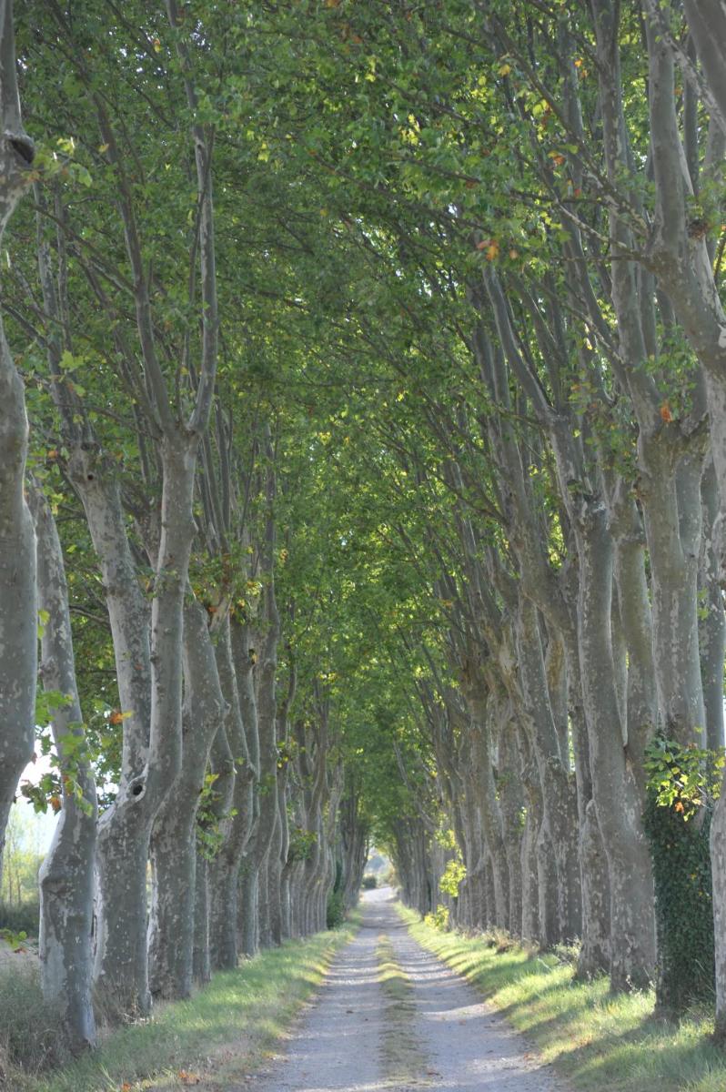 Hameau Domaine Ceyrac - Housity