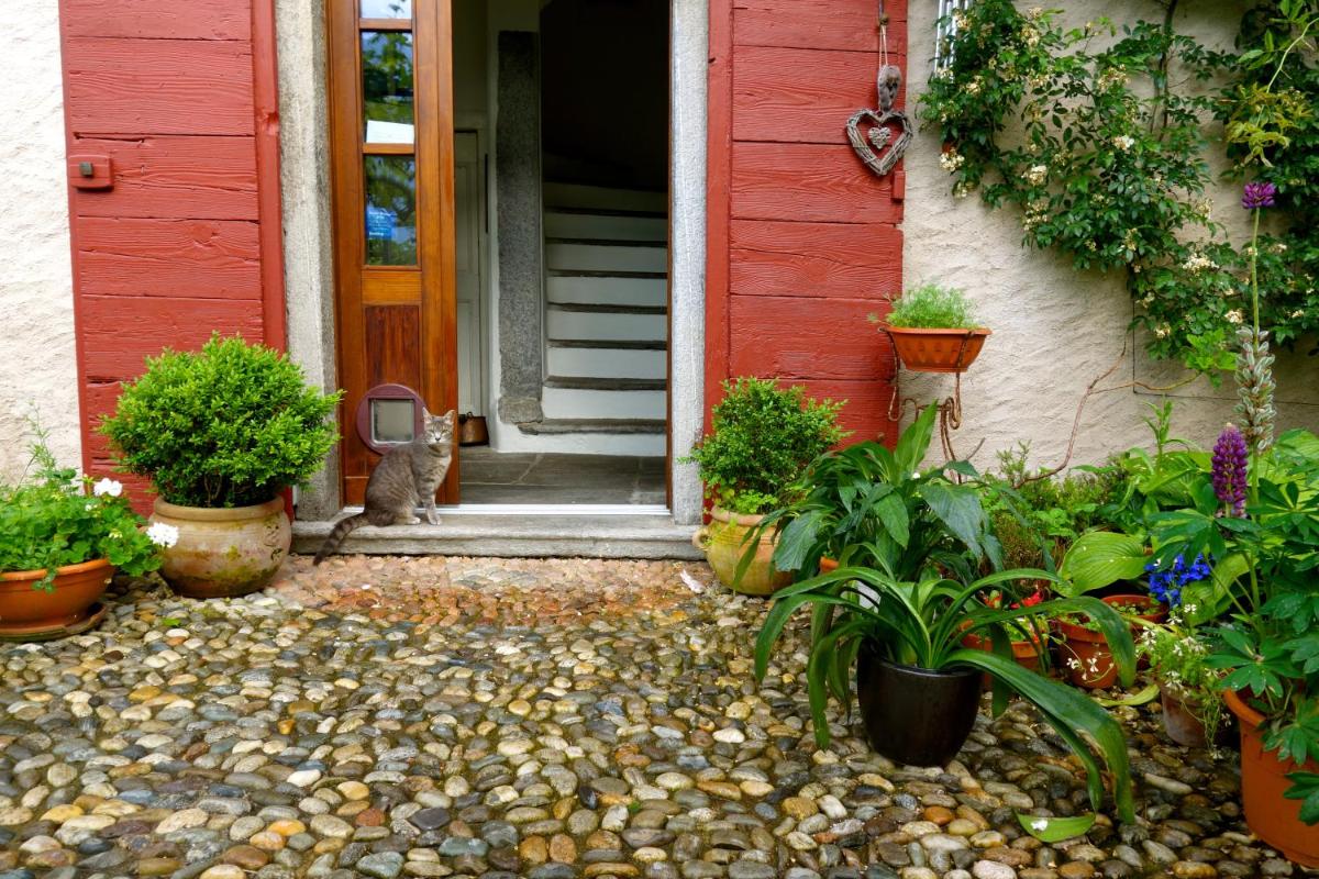 Bed & Breakfast Uvablu - Housity