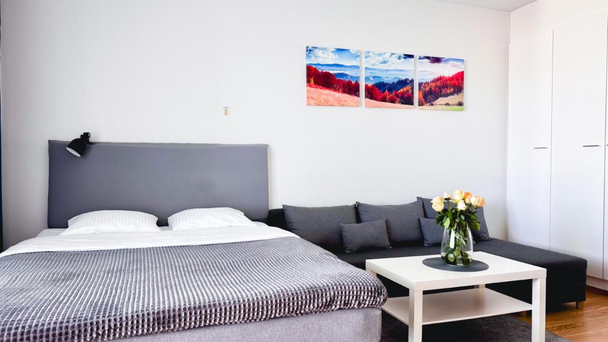 City center brand new studio, parking - Housity