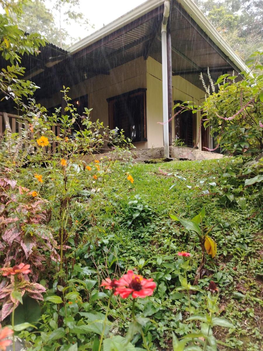 Natural paradise - Housity