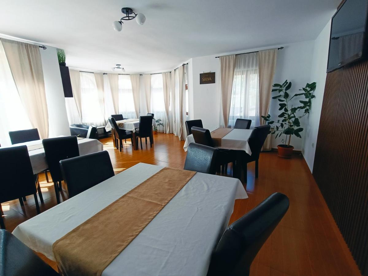 Pensiunea Silva Dobra - Housity