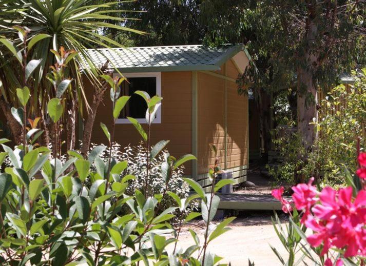 Jardin de l'établissement Camping La Pinède