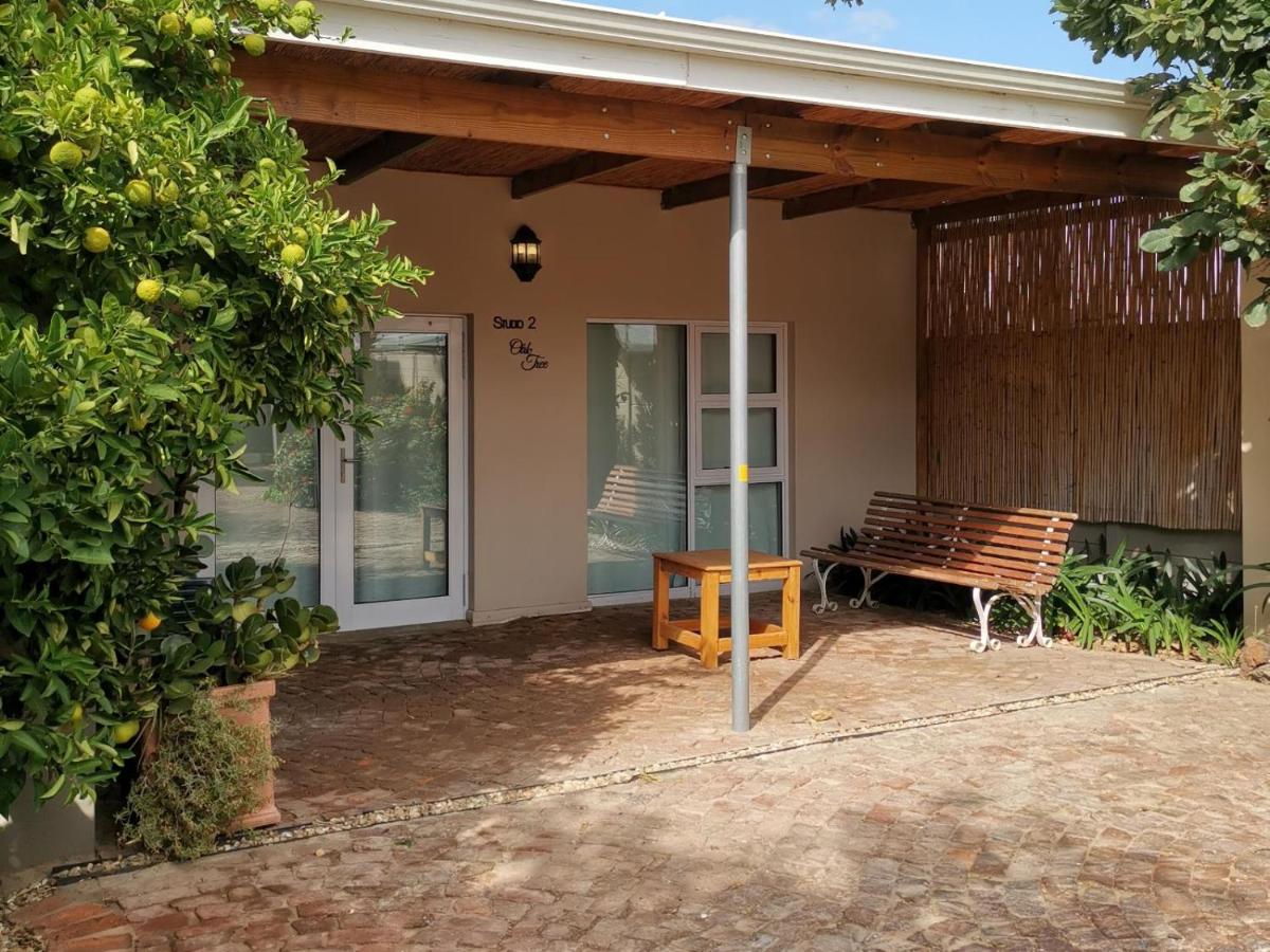 Suites on 74 - Hizvo