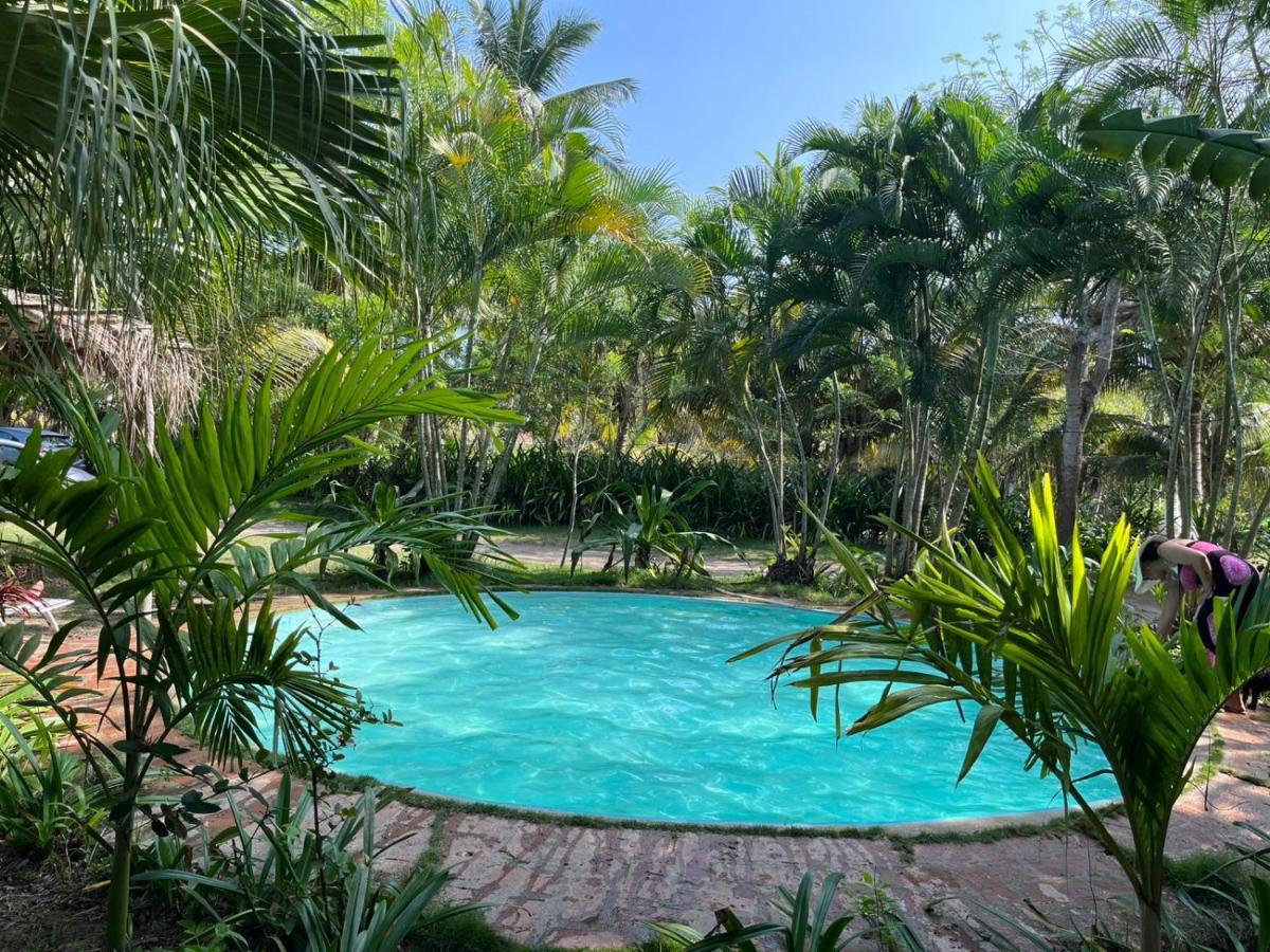 Hotel Cocoloco - Housity
