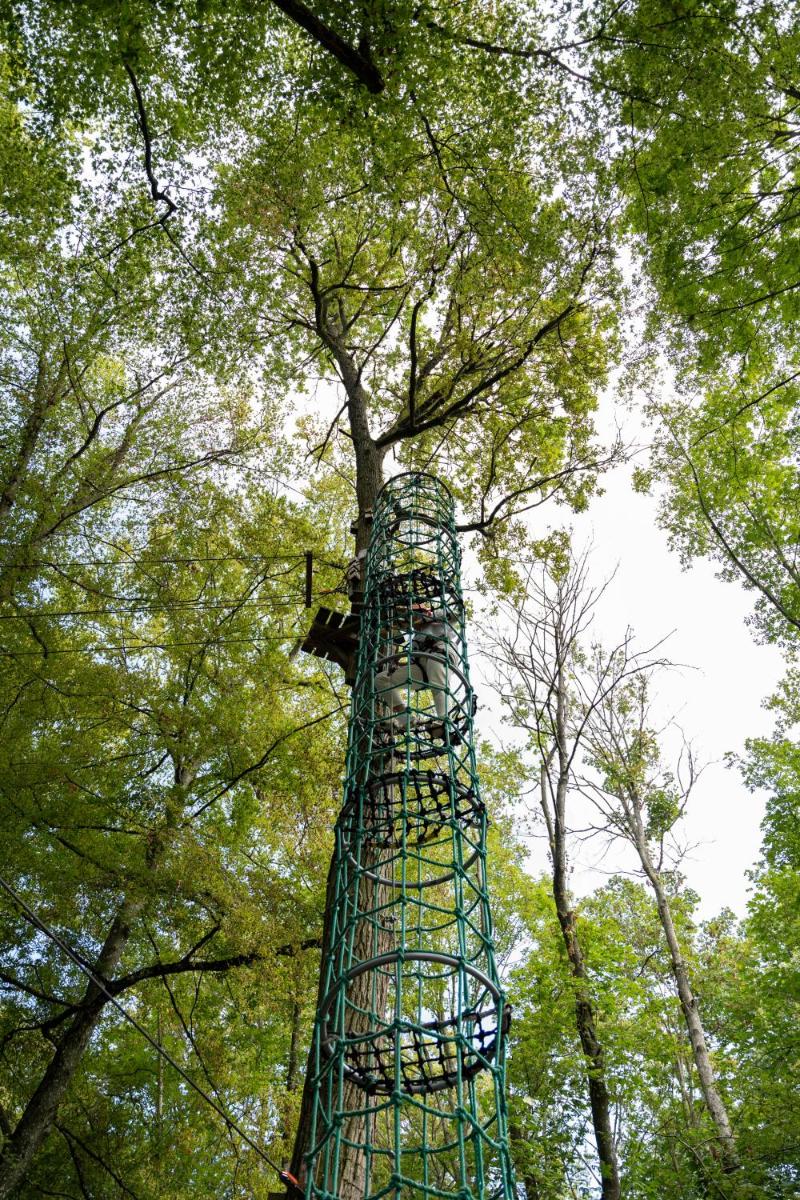 Photo de la galerie de l'établissement Demeures de Campagne Parc du Coudray - Barbizon, à Le Coudray-Montceaux