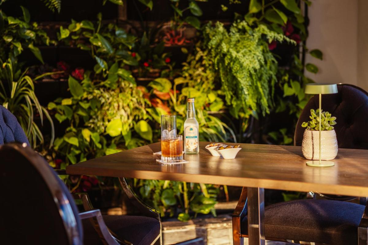 Boissons dans l'établissement Hôtel & Spa Le Grand Large
