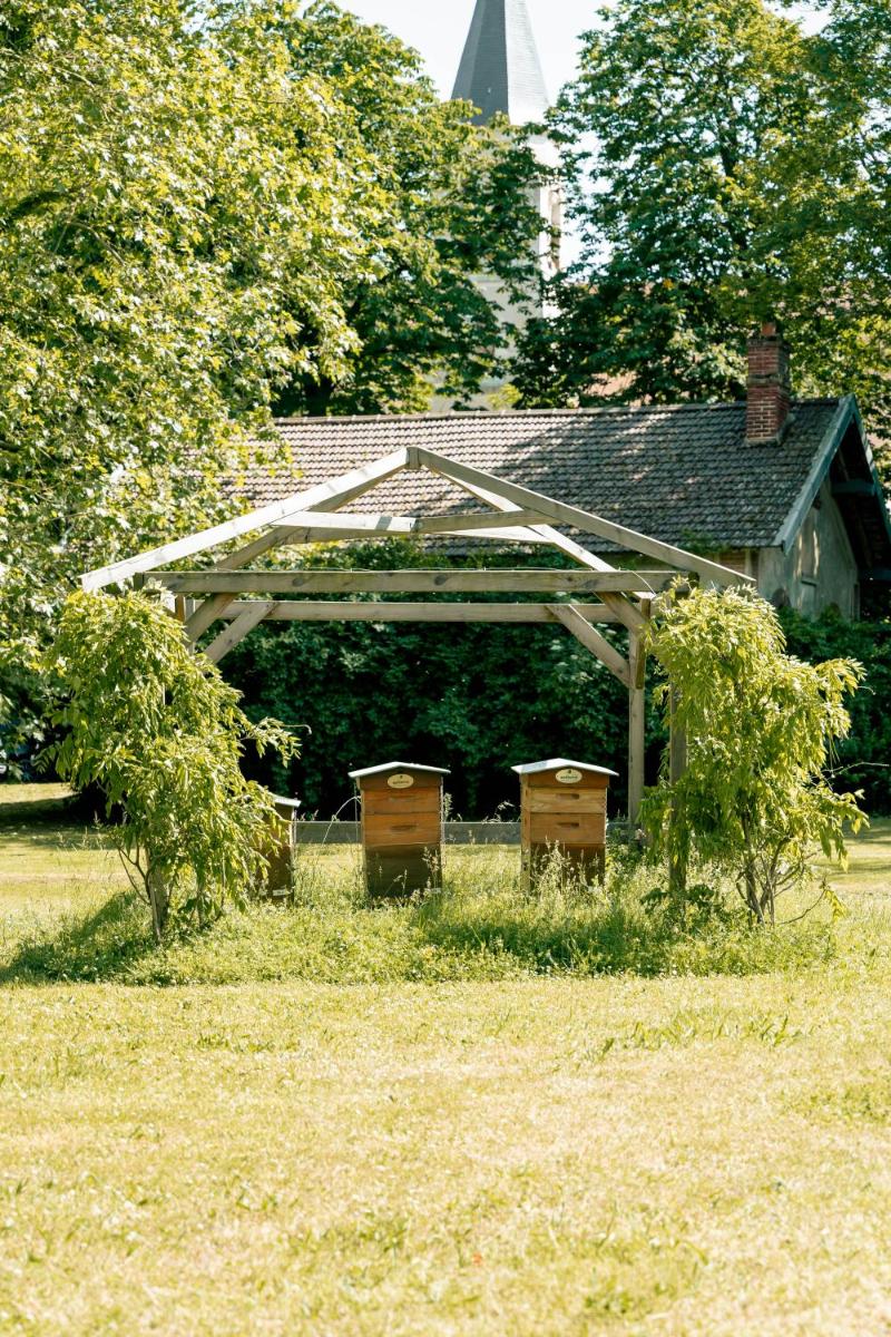 Jardin de l'établissement Hotel Mercure Parc du Coudray - Barbizon