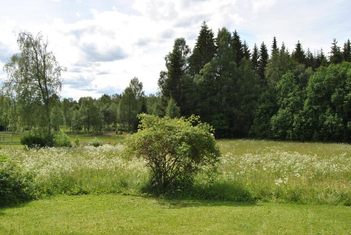 Orsastuguthyrning-Oljonsbyn - Housity