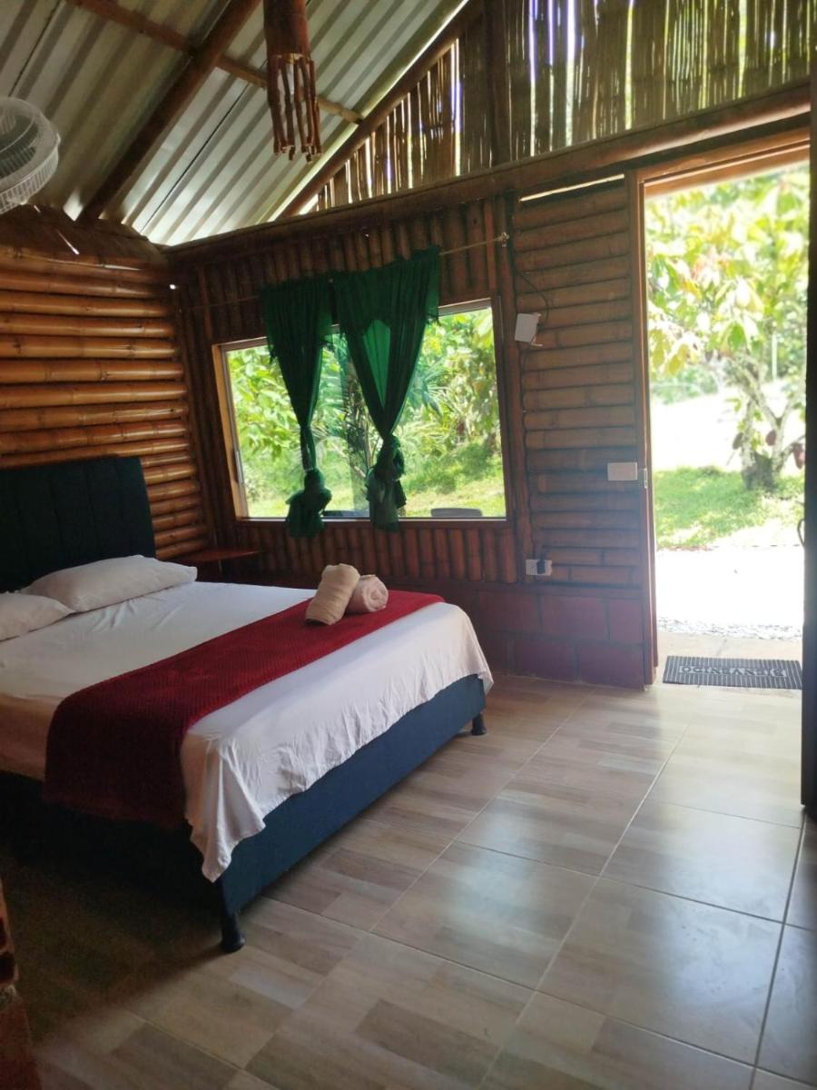 Cabañas orquídea - Housity