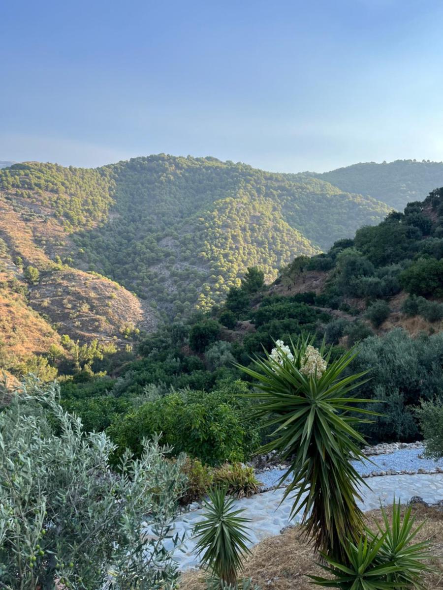 Finca Floretta - Housity