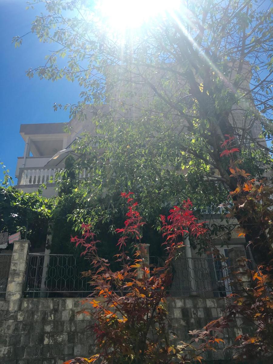 Apartments Popović - Housity