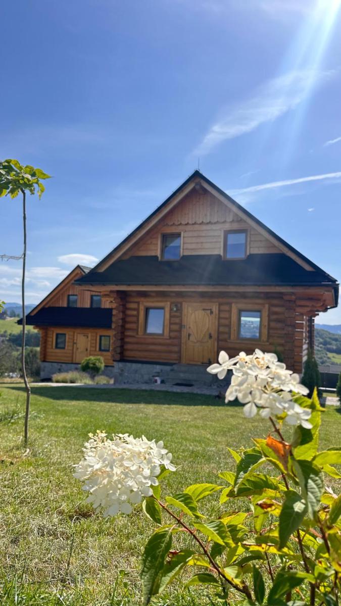 Złoty Groń log houses & apartments - Hizvo