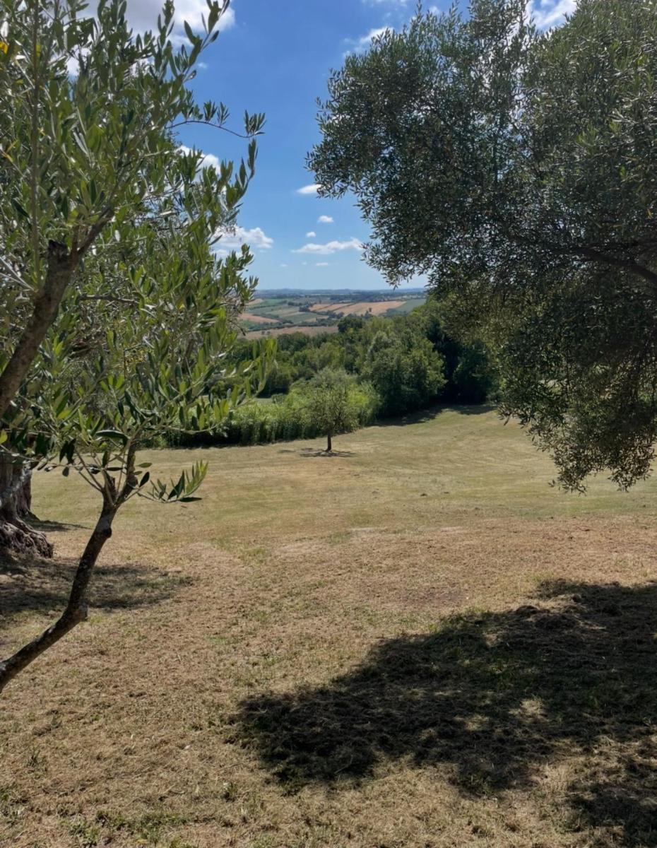 B&B La Vera Vita - Housity