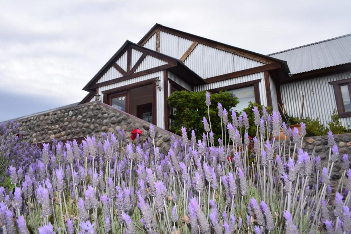 Hotel Mora - Housity