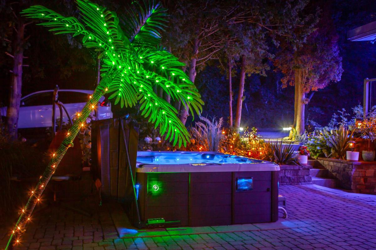 Nature Oasis Bar Room - Housity