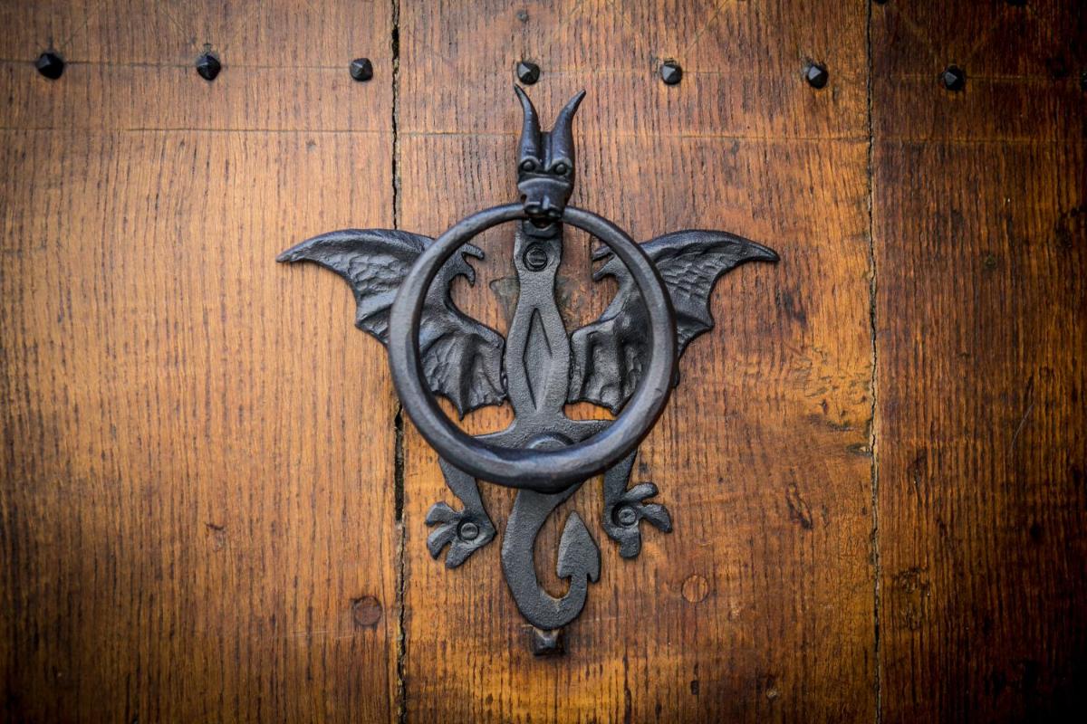 Mons Dragon House - Housity