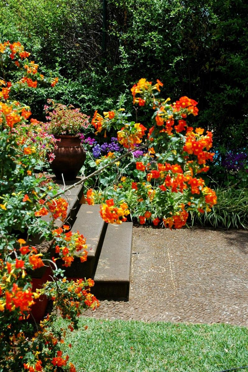Um jardim no exterior de Quinta da Bela Vista
