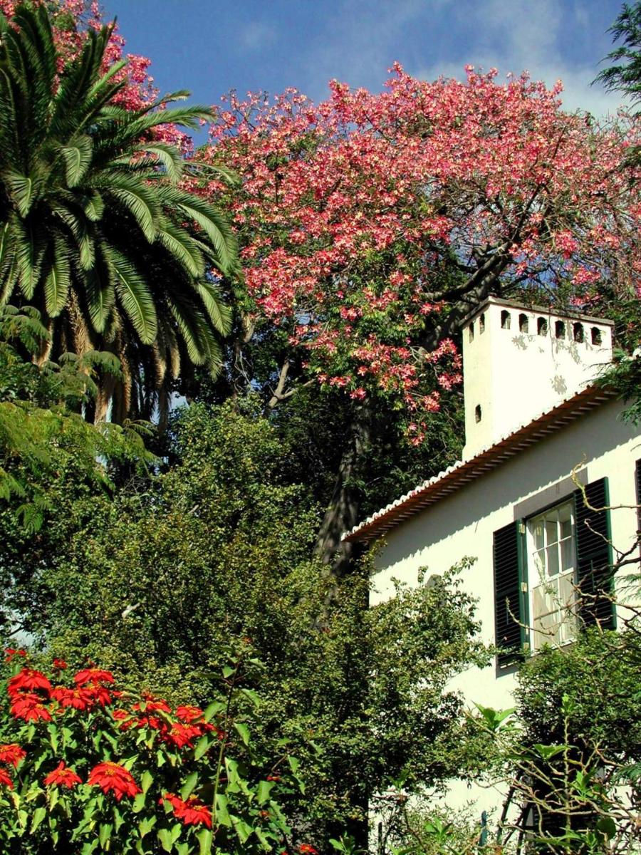Um jardim no exterior de Quinta da Bela Vista