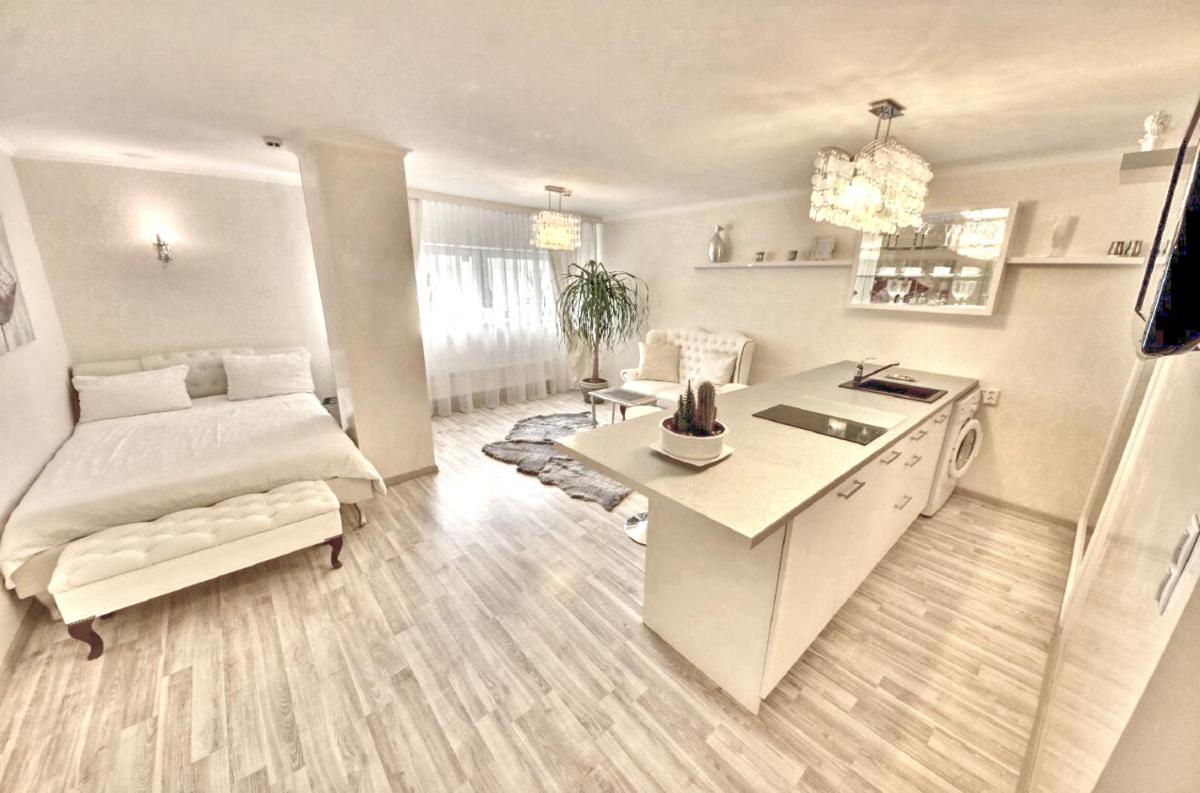 Juozapaviciaus apartments - Housity