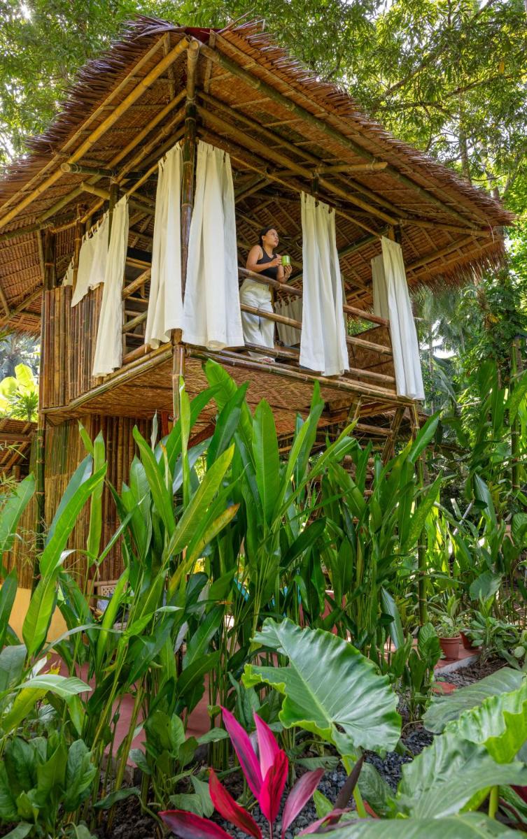Water to Forest Ecolodge - Housity