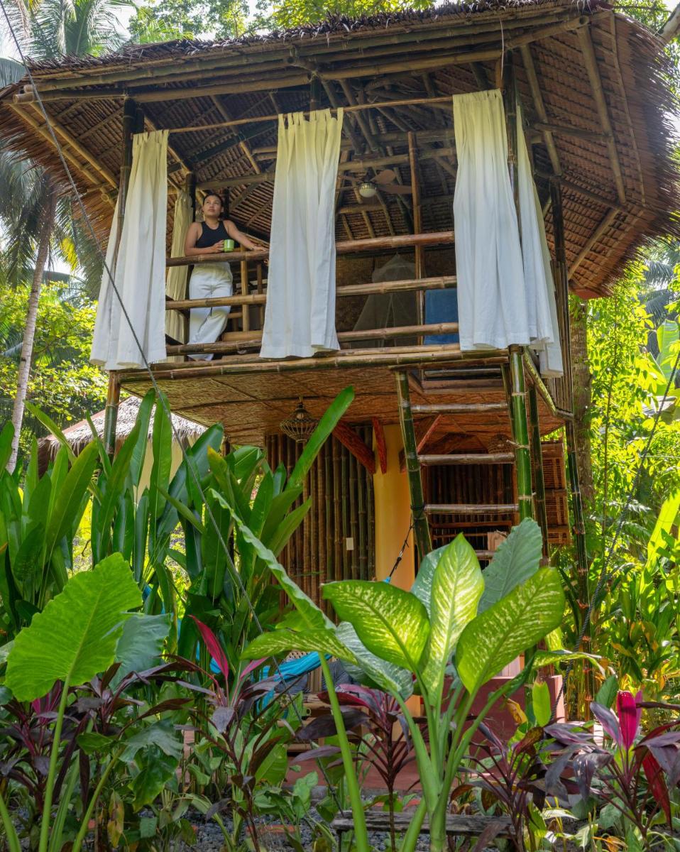 Water to Forest Ecolodge - Housity