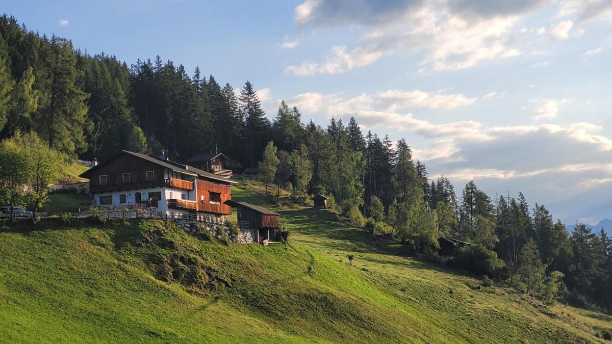 Masitterhof - Housity