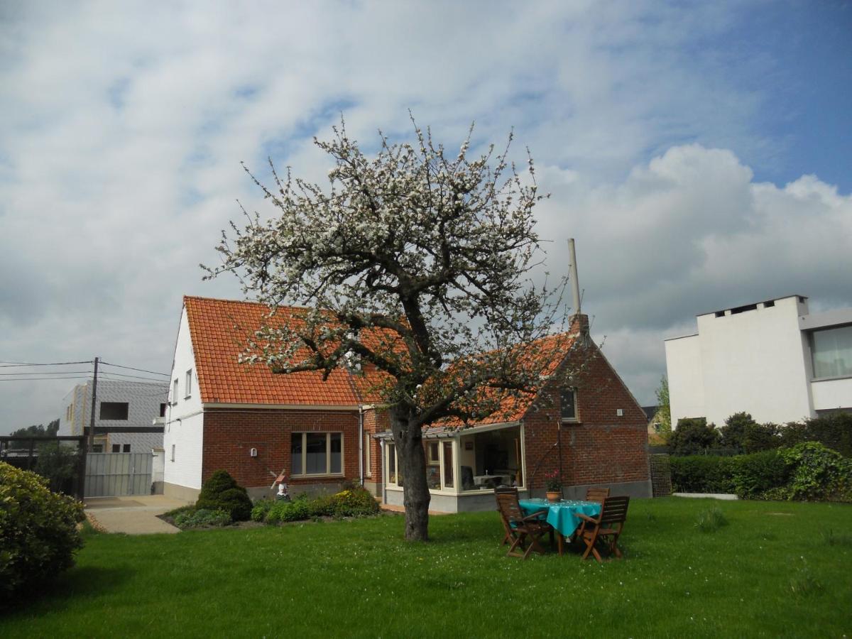 Het Margrietje - Housity