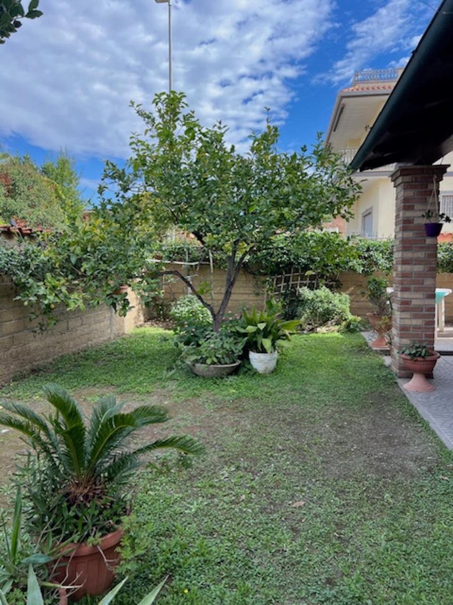 Un sogno nel verde - Housity
