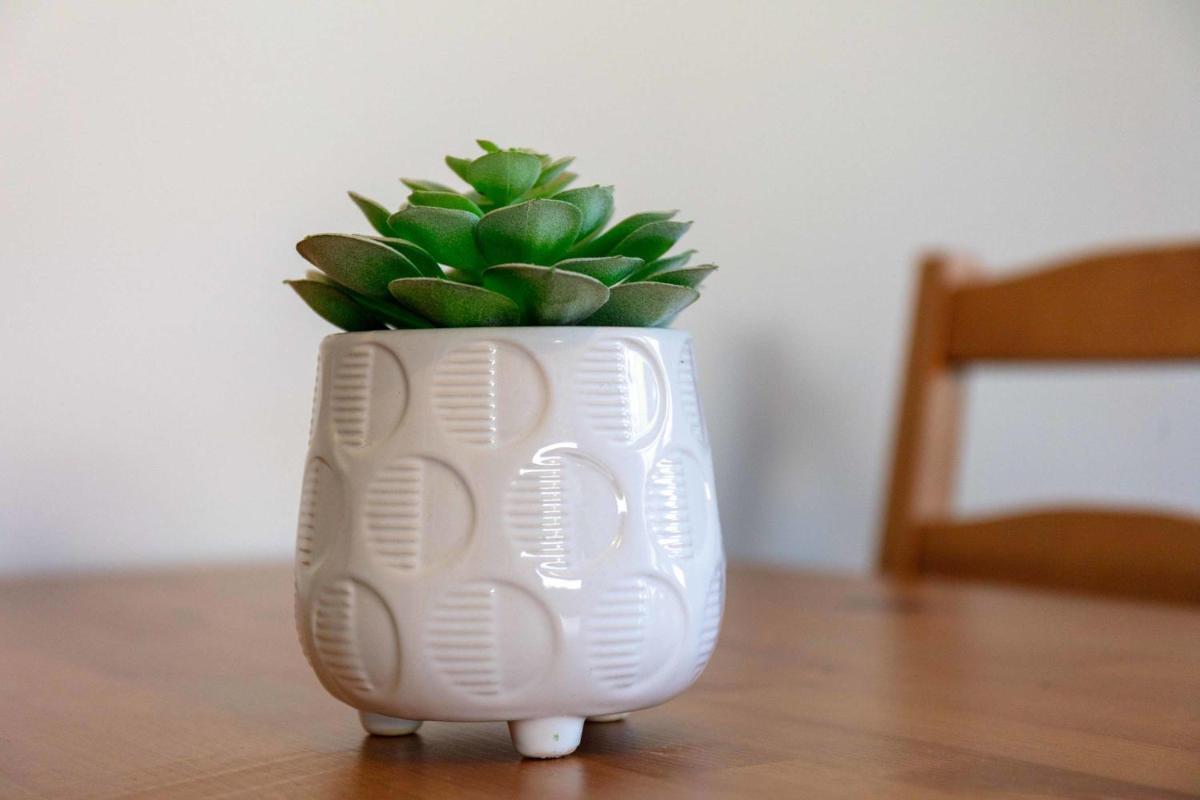 The Orchard - Donnini Apartments - Housity