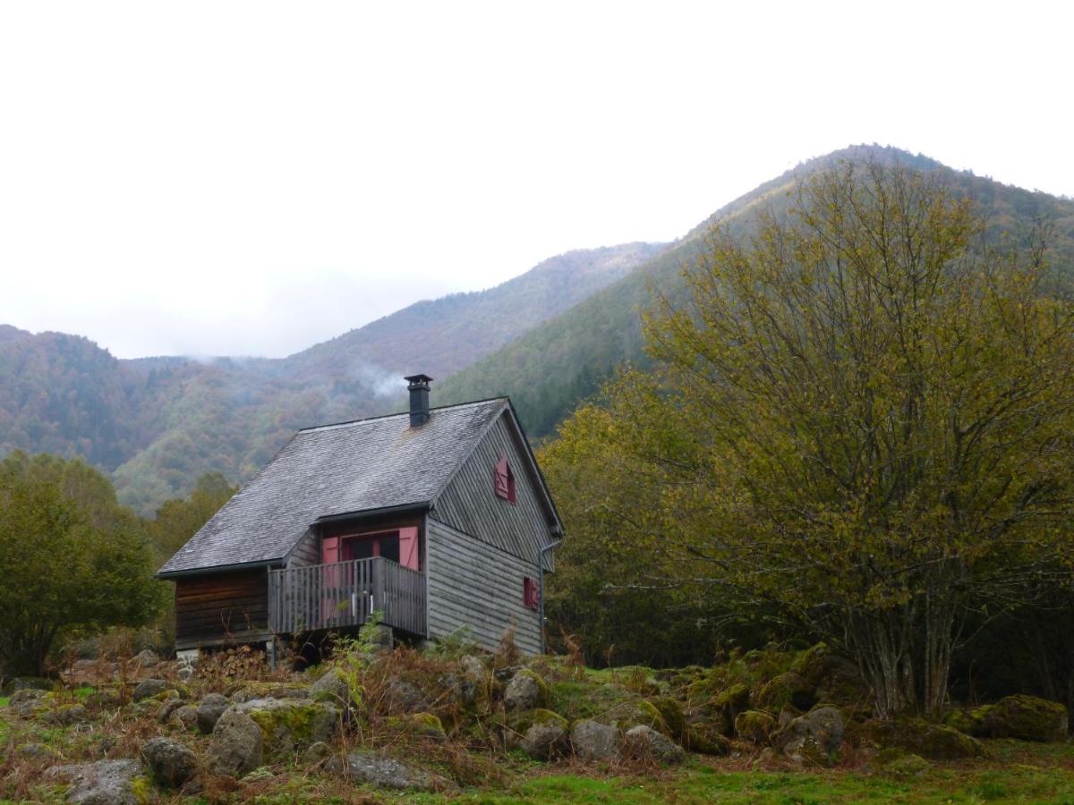 Les chalets de la forêt d'Issaux - Housity