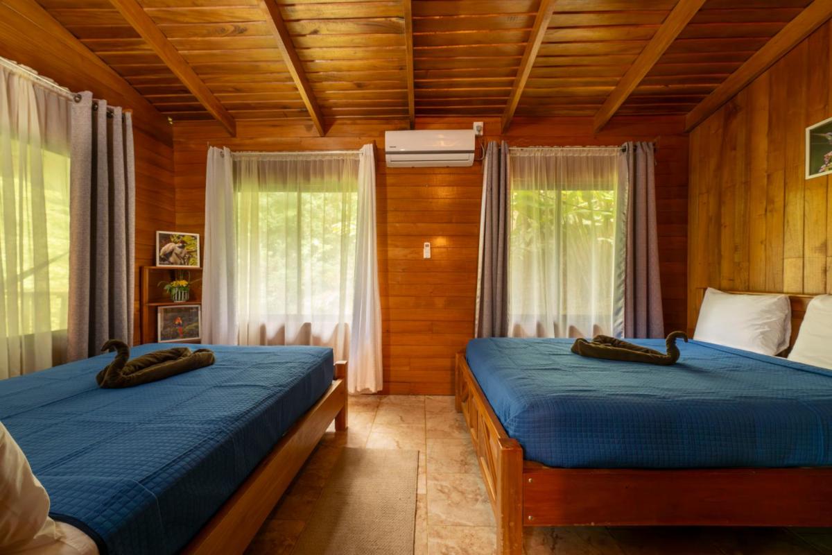Esquipulas Rainforest - Housity