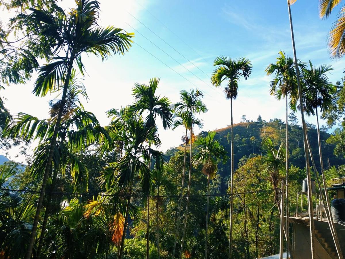 Cool Breeze View - Housity