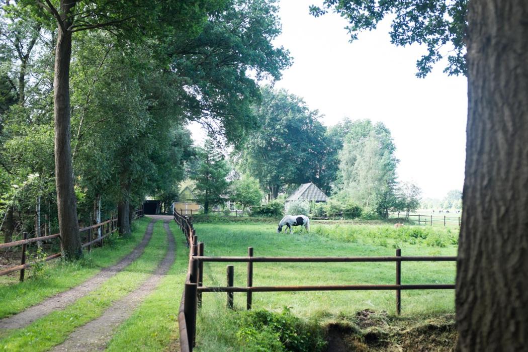 Gastenverblijf Het Muzehuis - Housity