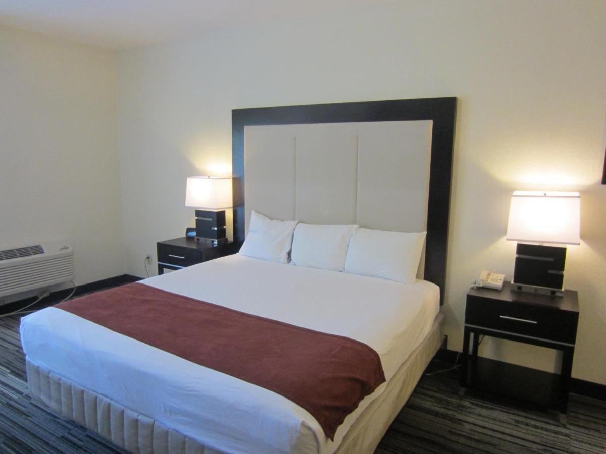 Arena - Housity
