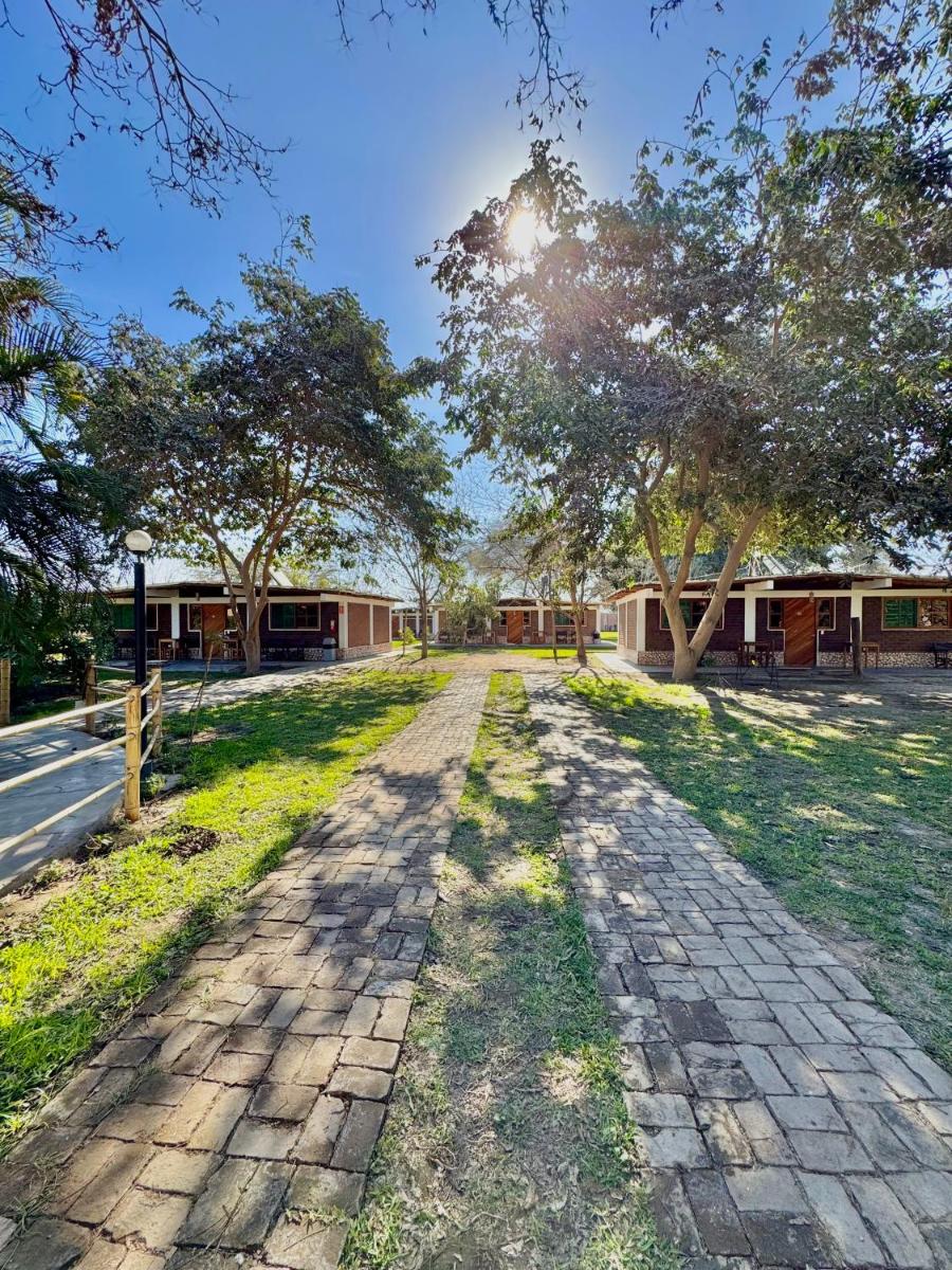 Hotel Culturpisco - Housity