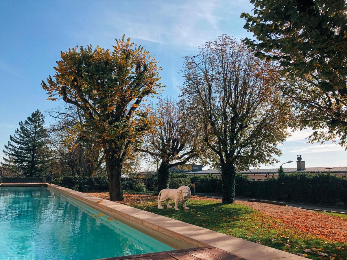 un chien se tient à côté d'une piscine dans l'établissement Fourvière Hôtel, à Lyon