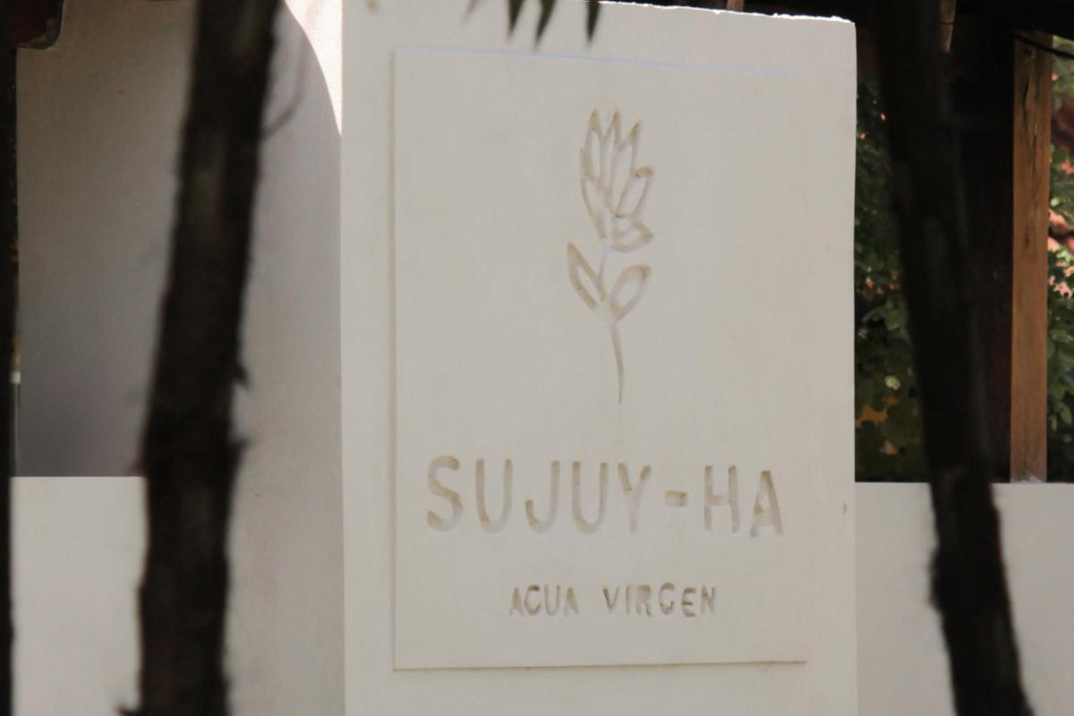 Sujuy-Ha - Housity