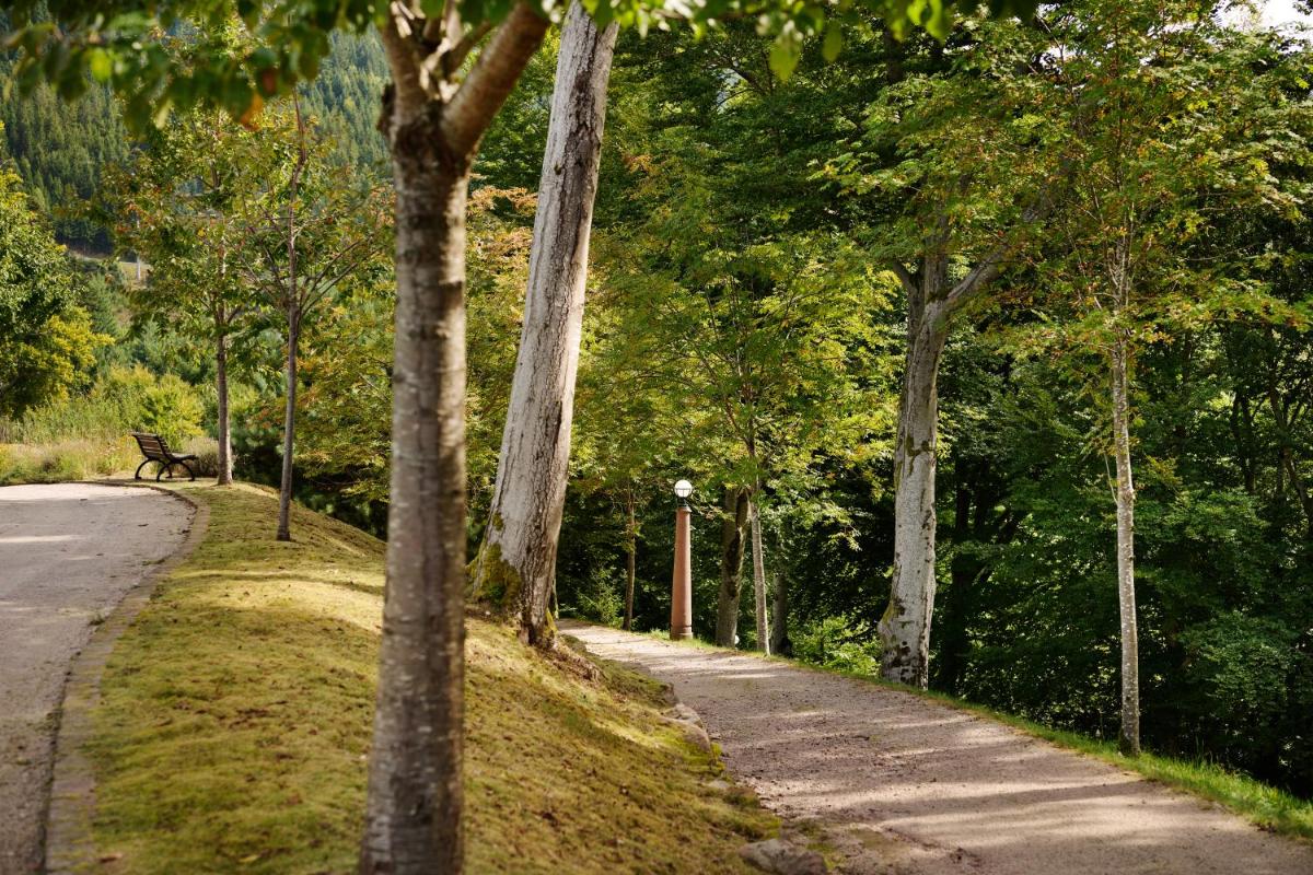 Naturlandschaft in der Nähe des Hotels