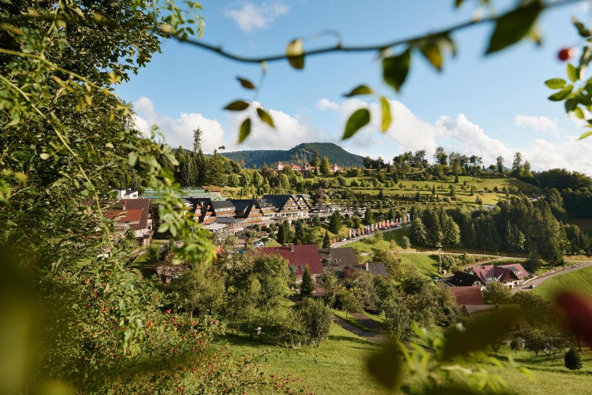 ein Dorf auf einem Hügel mit Bäumen und Häusern in der Unterkunft Hotel Dollenberg in Bad Peterstal-Griesbach
