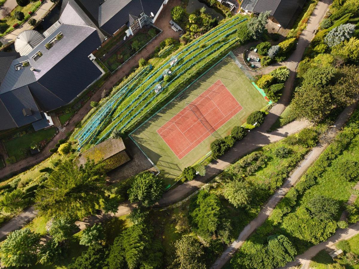 Tennis und/oder Squash in der Unterkunft Hotel Dollenberg oder in der Nähe