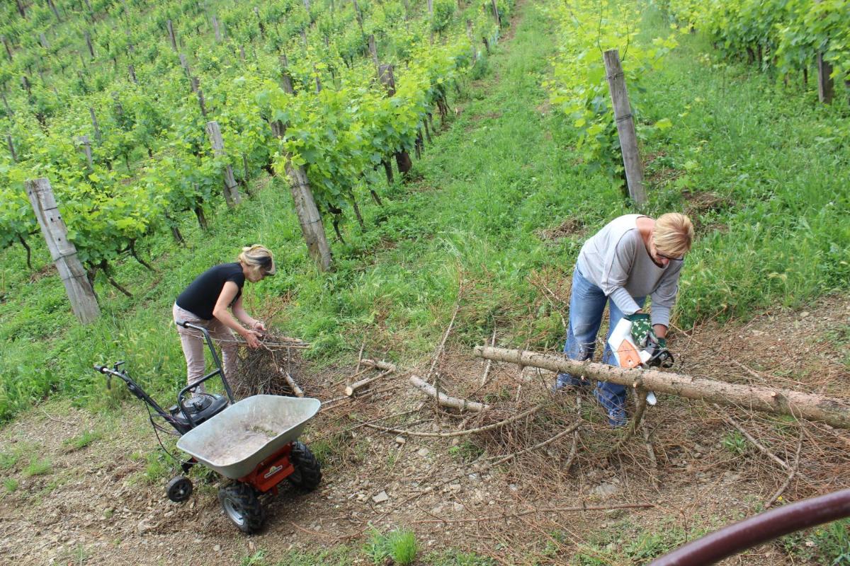 Azienda Agraria La Casella - Housity