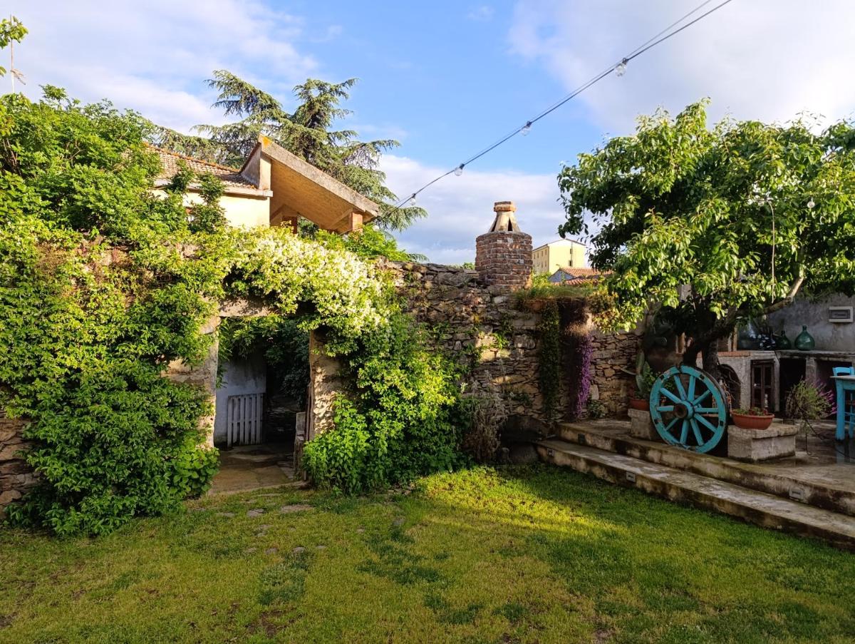 Zia Chiarina - Housity