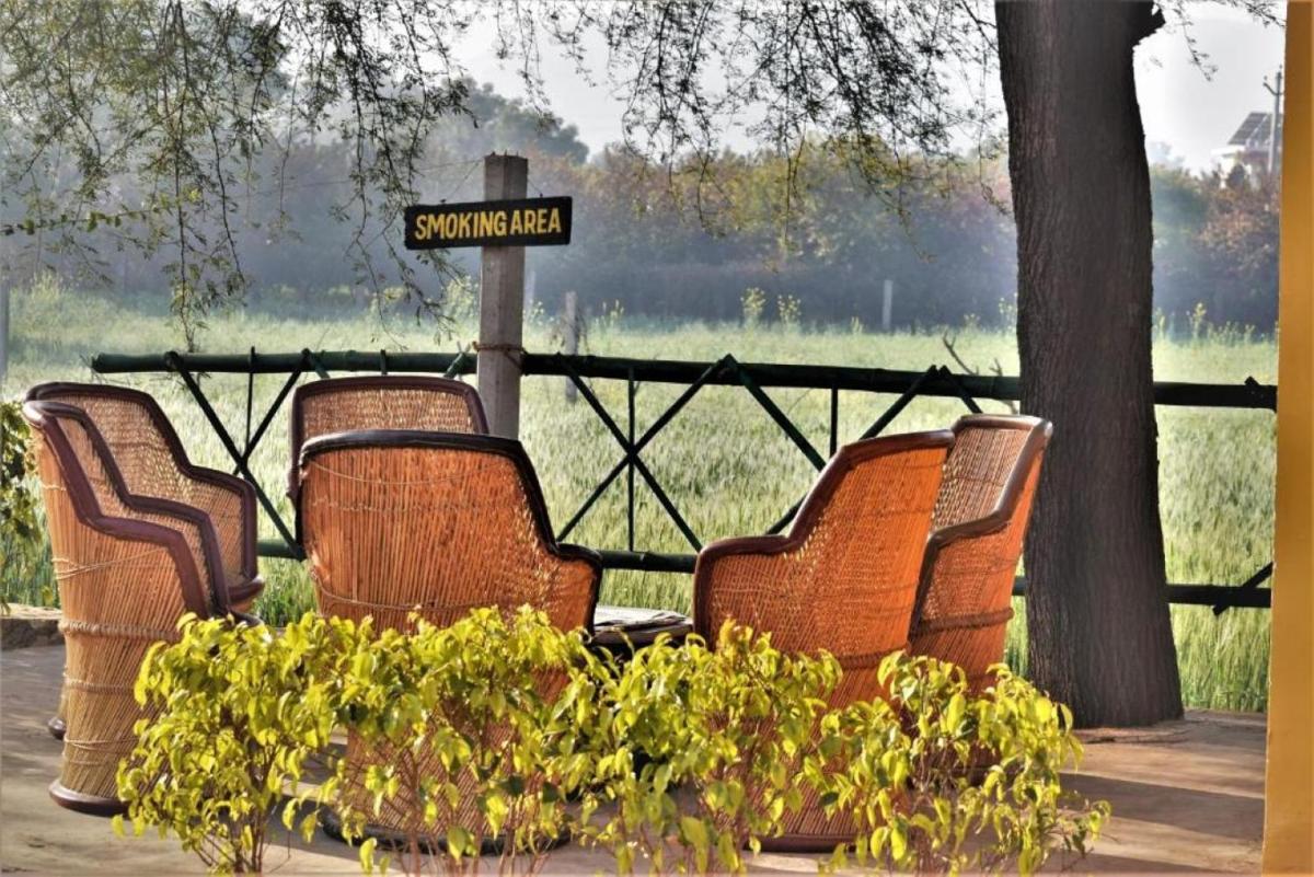 Ranthambhore Bagh Dwar Camp - Housity