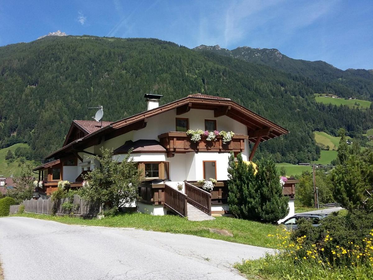 Haus Pinnistor - Housity