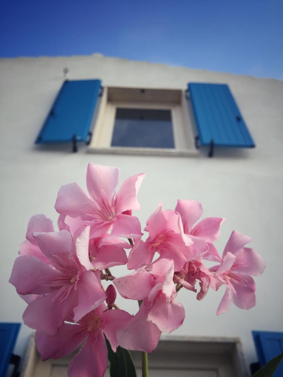 Villa Brigida - Housity