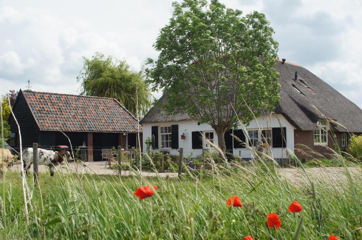 Bed and Breakfast de Bosakker - Housity