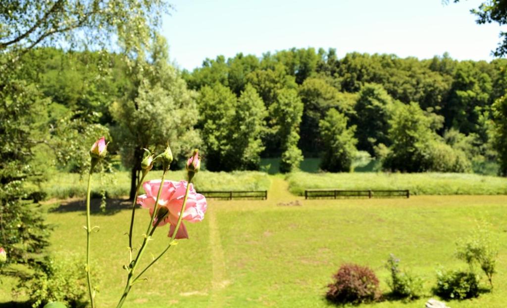 Holiday House Mrežnički gaj - Housity