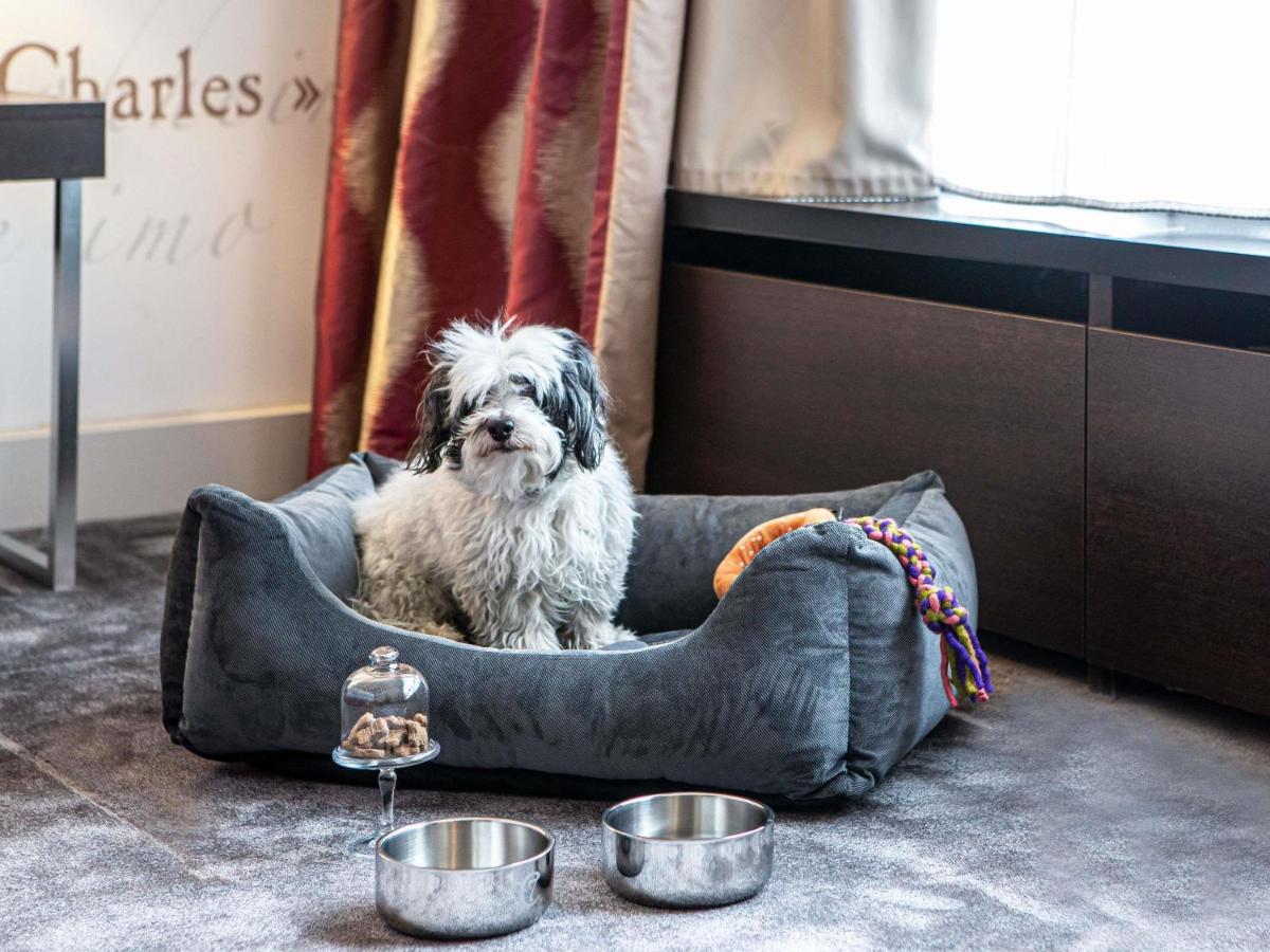 Animal ou animaux domestique(s) séjournant avec des clients dans l'établissement Sofitel Strasbourg Grande Ile