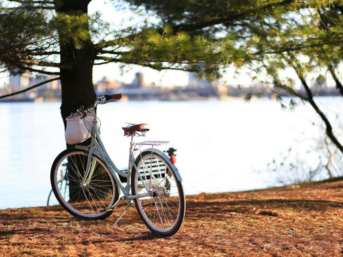 Vélo sur le terrain de l'établissement Parc Beaumont Hôtel & Spa Pau - MGallery Collection ou dans les environs
